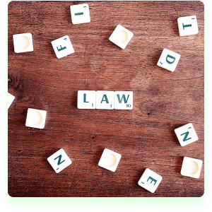 No Legal Jargon or Fluff